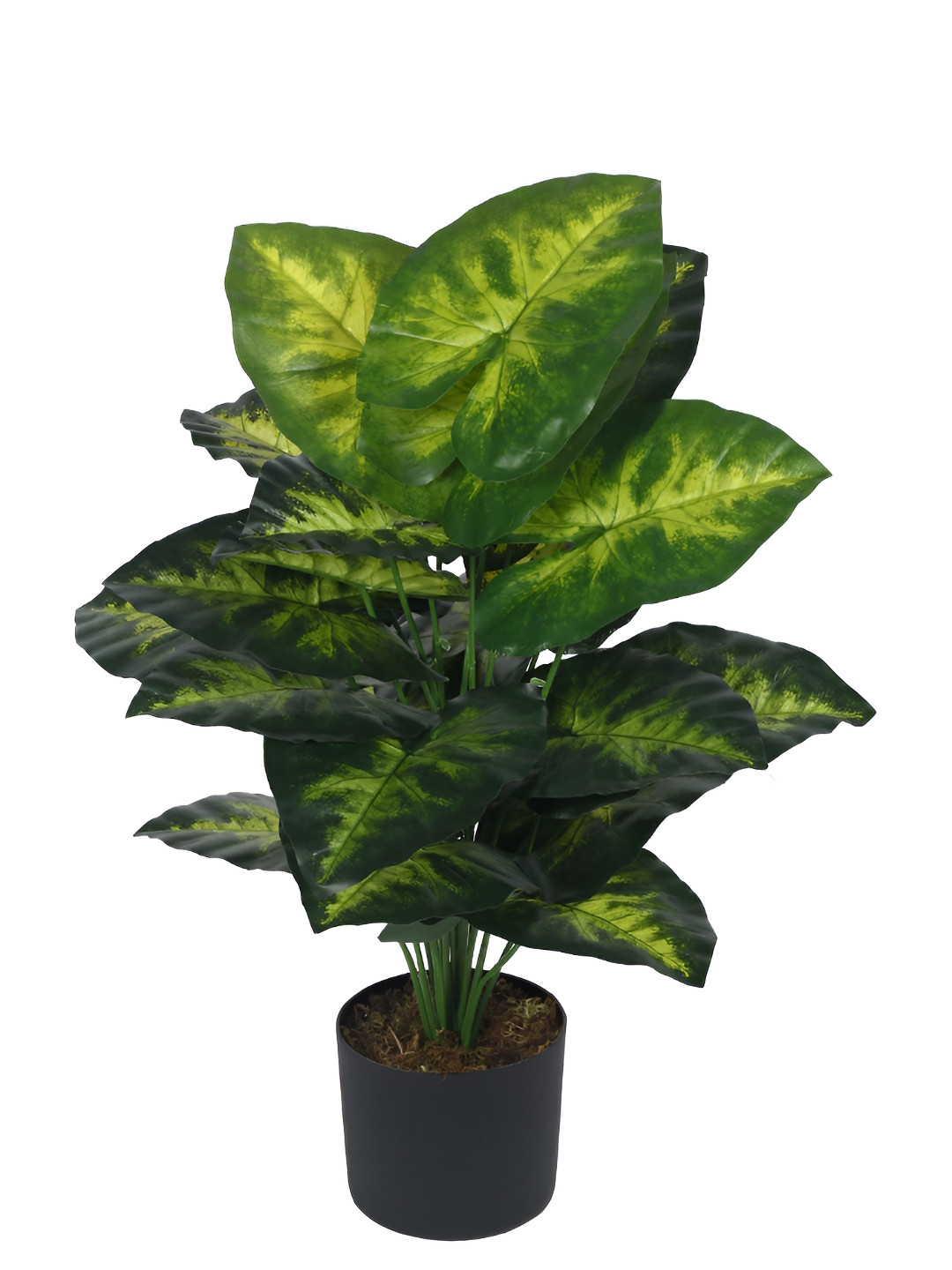 

Home Bloom Green & Black Artificial Plant With Pot