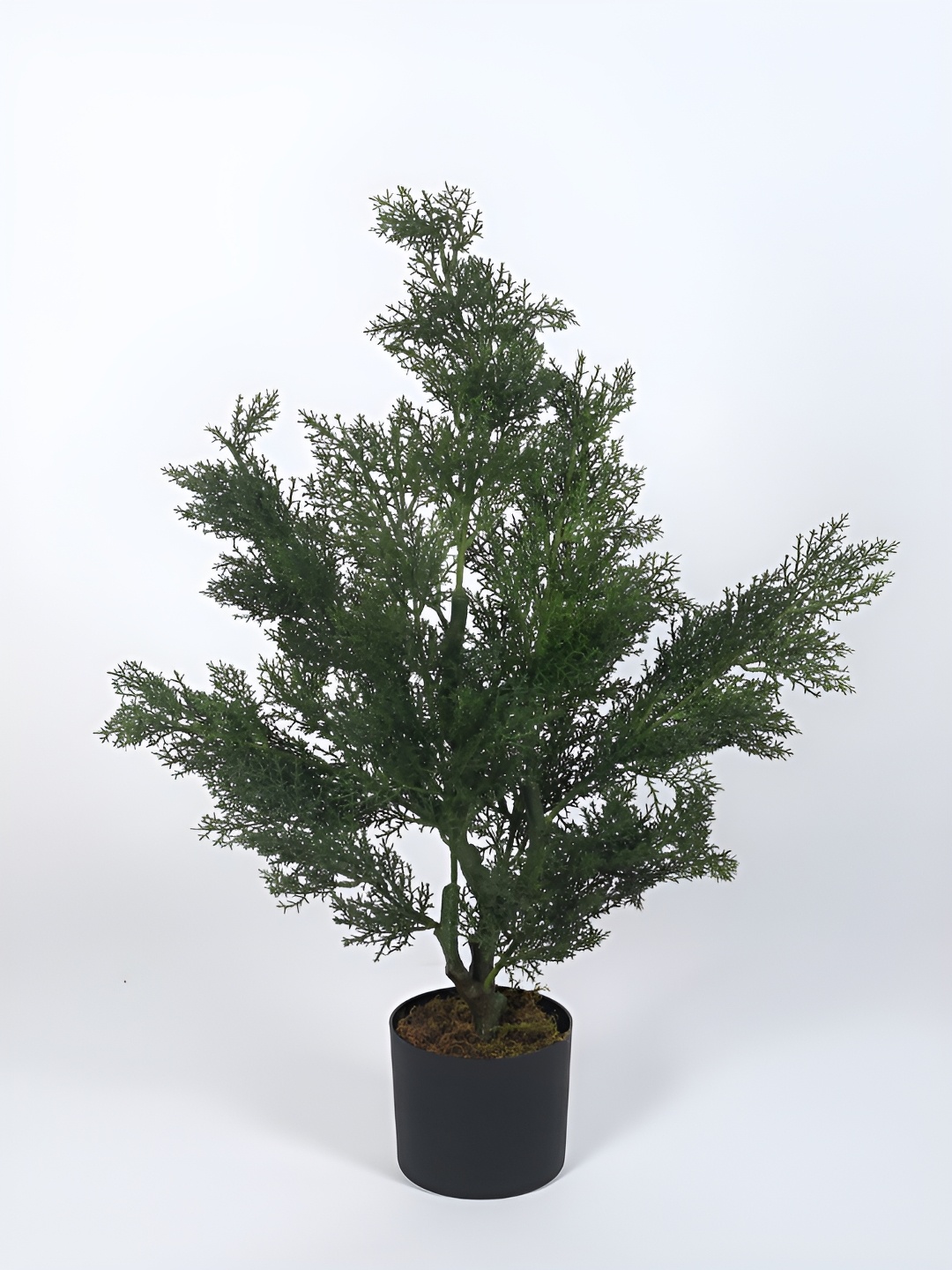 Home Bloom Green & Black Artificial Plant With Pot