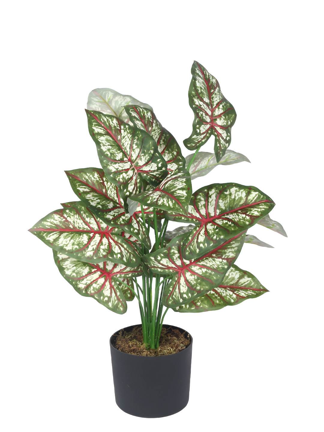 

Home Bloom Green & Red Blossom Artificial Plant With Pot
