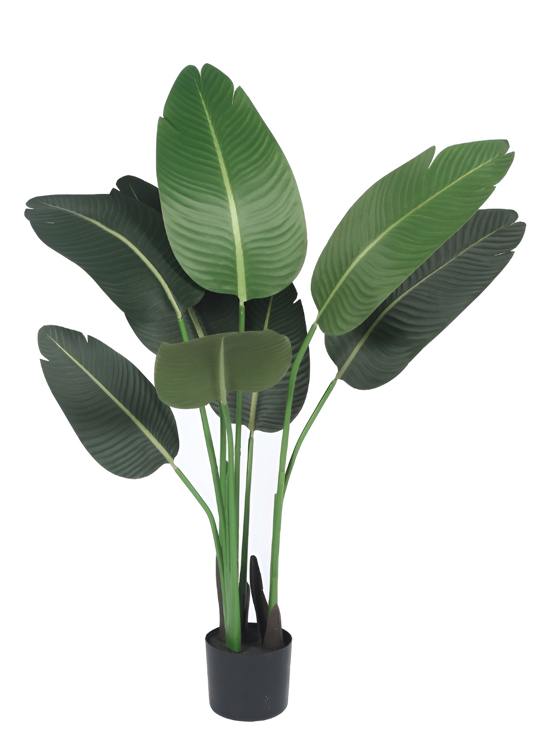 

Home Bloom Green & Black Artificial Plant With Pot