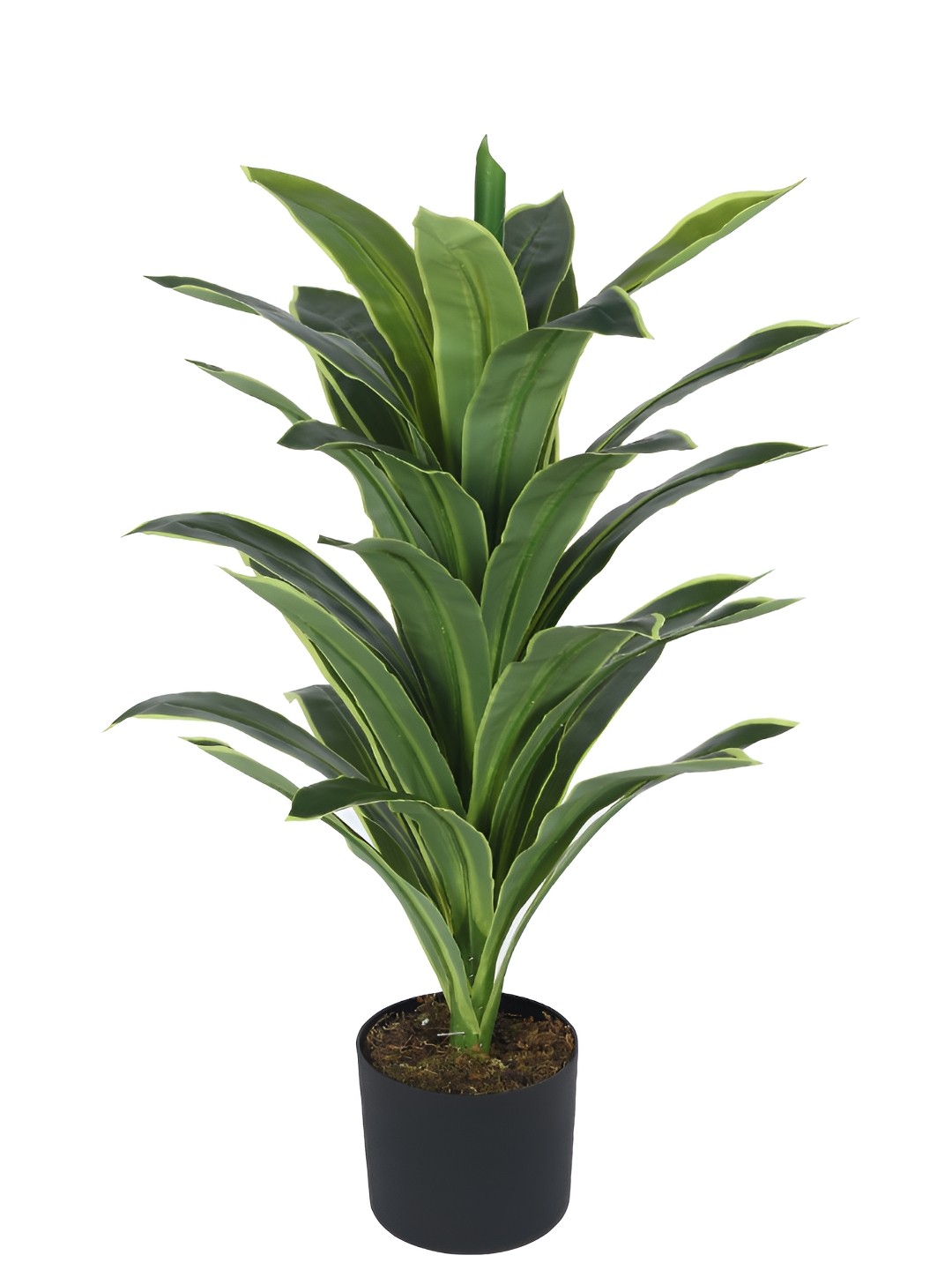

Home Bloom Green & Black Dracaena Artificial Plant With Pot