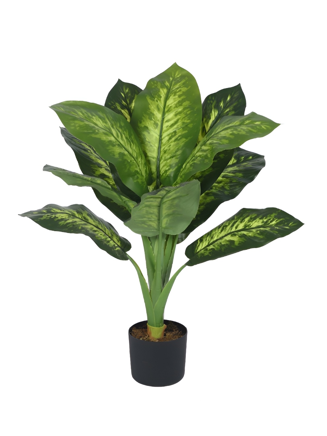 

Home Bloom Green & Black Artificial Plant With Pot