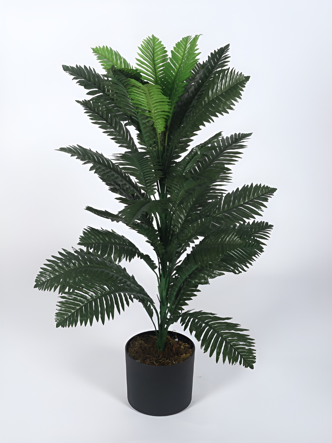 Home Bloom Green & Black Artificial Plant With Pot