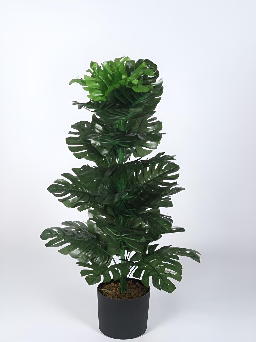 

Home Bloom Green & Black Monstera Deliciosa Artificial Plant With Pot