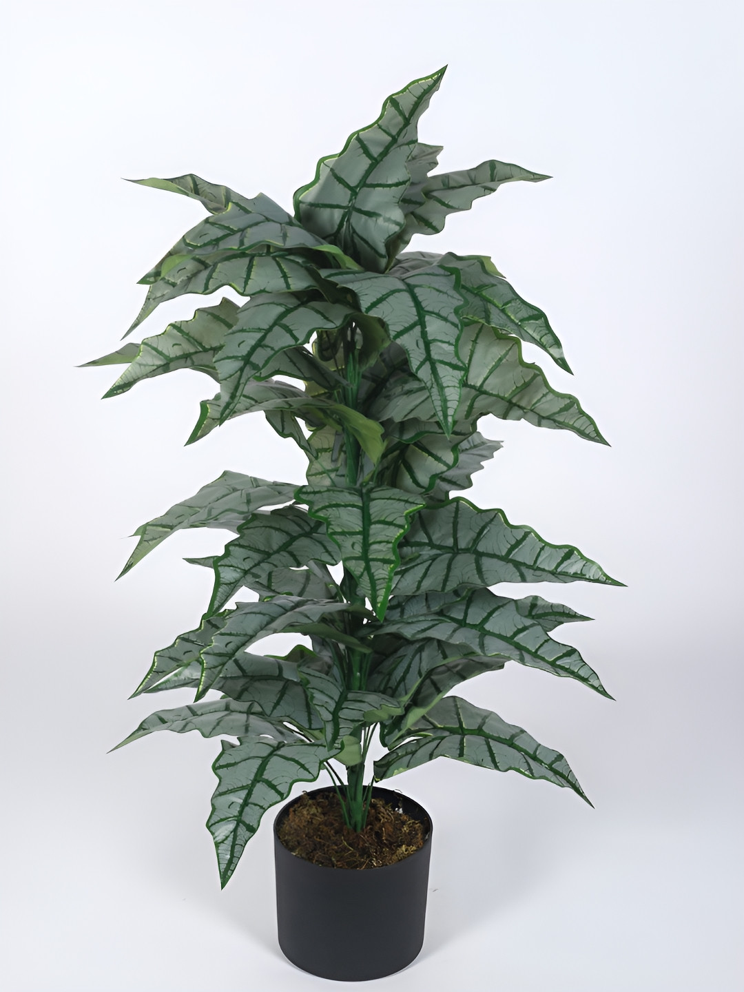 

Home Bloom Green & Black Philodendron Artificial Plant With Pot