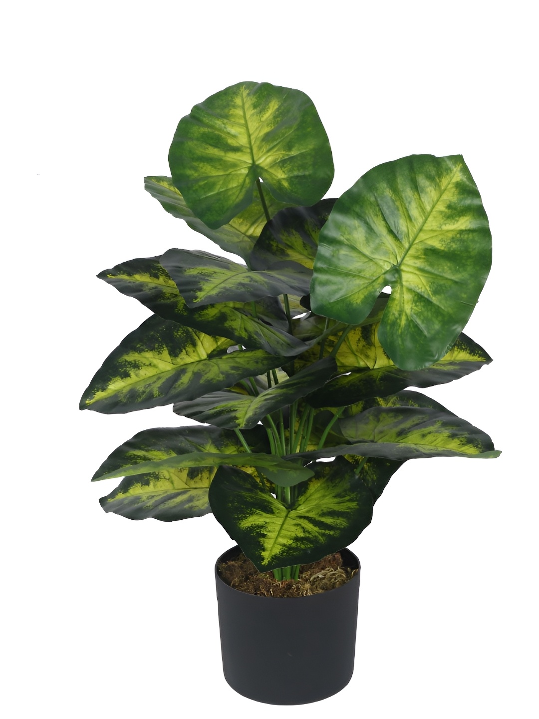 

Home Bloom Green & Black Artificial Plant With Pot