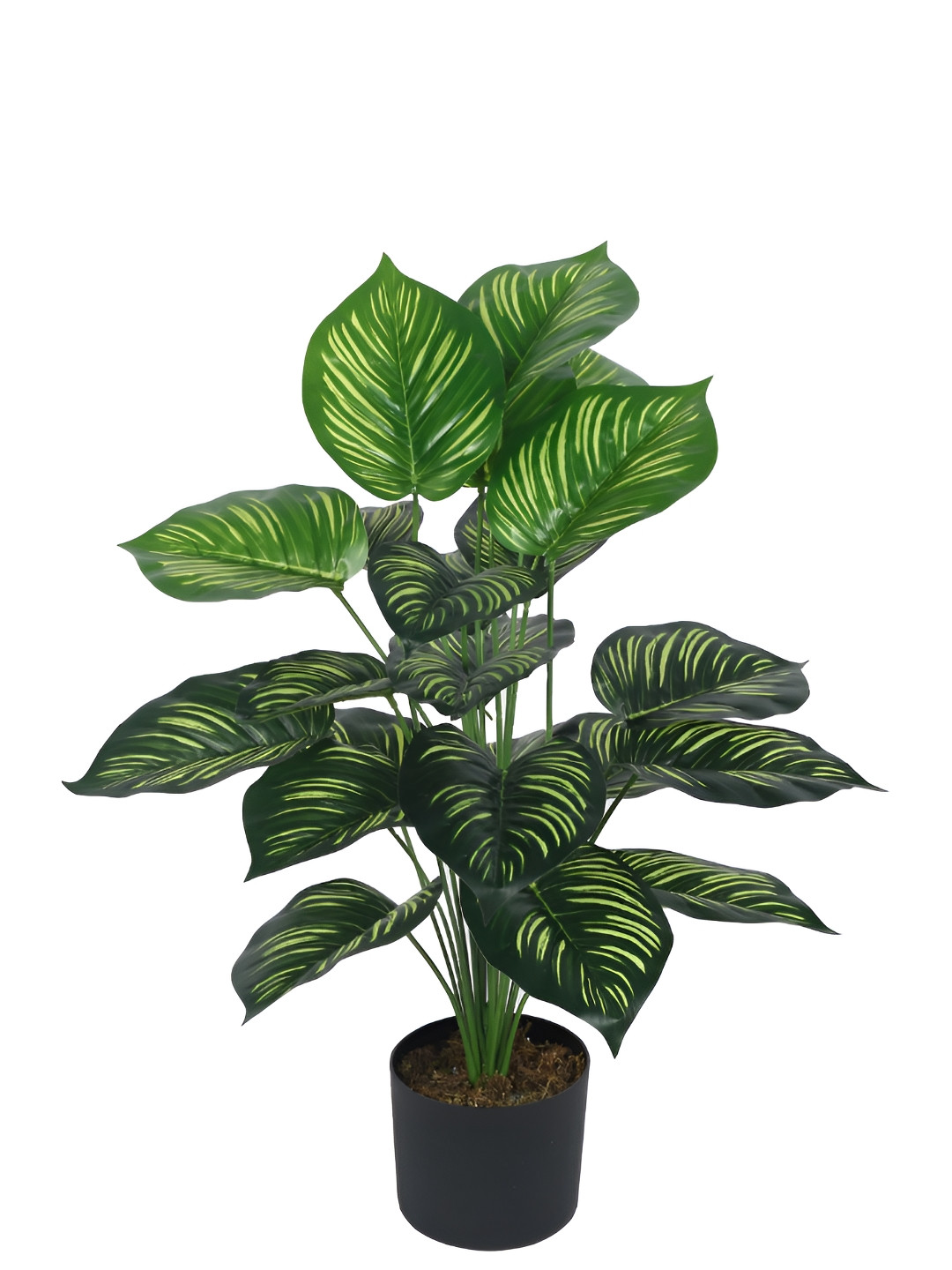

Home Bloom Green & Black Money Artificial Plant With Pot