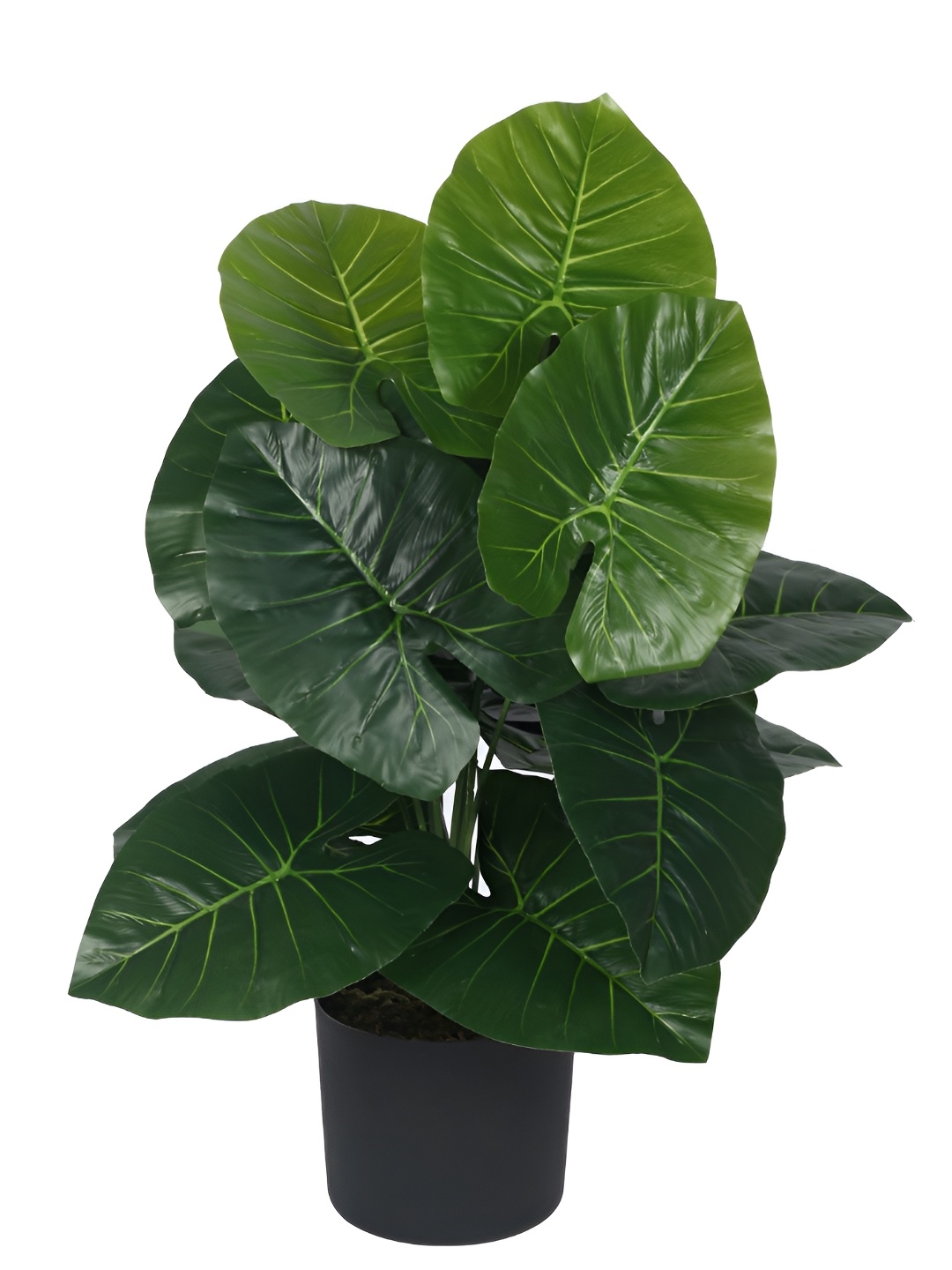 

Home Bloom Green Artificial Plant With Pot