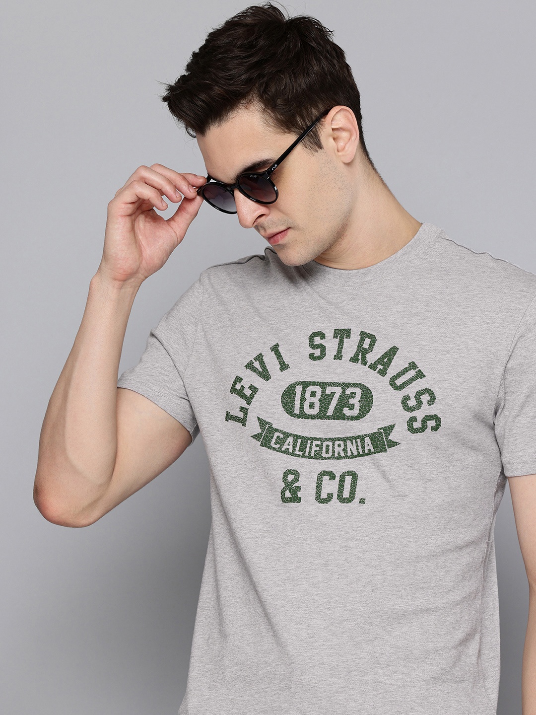 

Levis Pure Cotton Typography Printed Slim Fit T-shirt, Grey