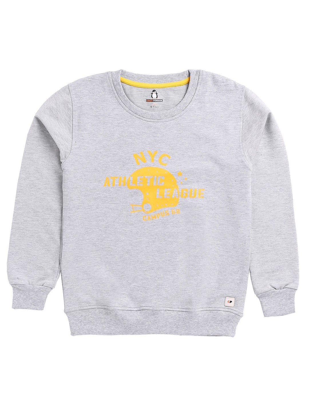 

CRAZYPENGUIN ELITE Boys Printed Cotton Round Neck Sweatshirt, Grey