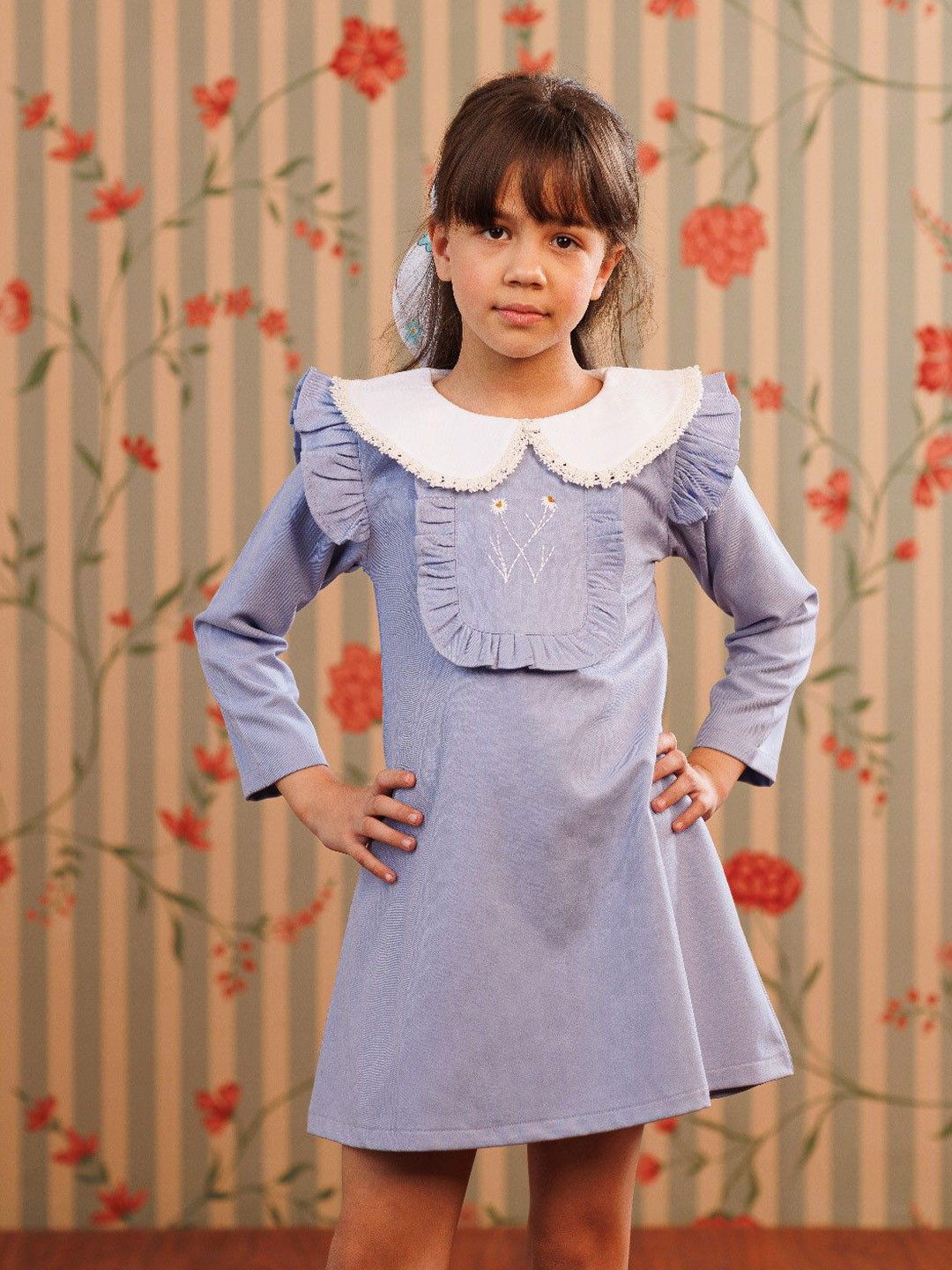 

Arsya Girls Peter Pan Collar Embroidered A-Line Dress, Blue