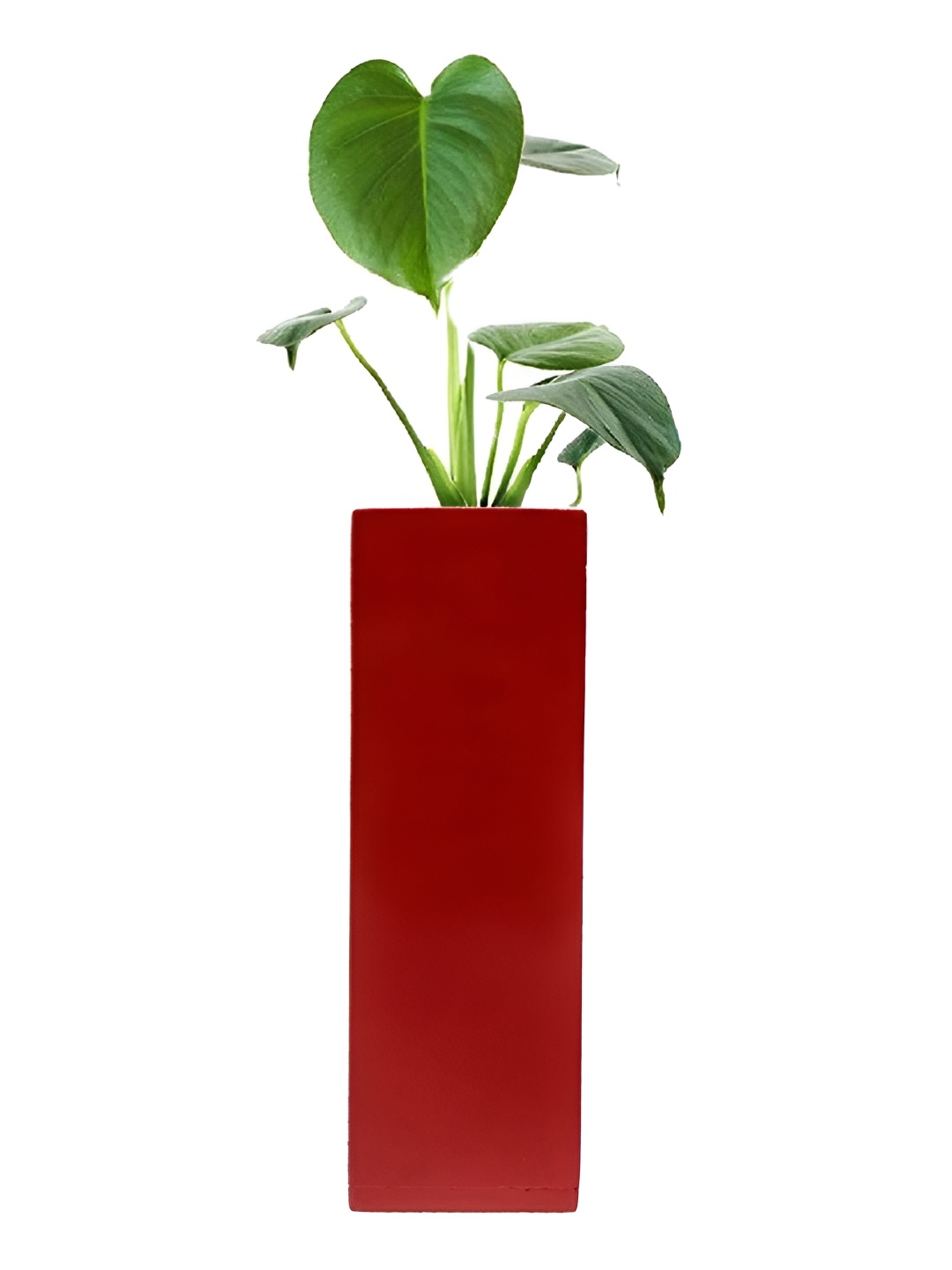 

VAH Kya Bat Hai !! Red Wooden Magnetic Hydroponic Plant Holder