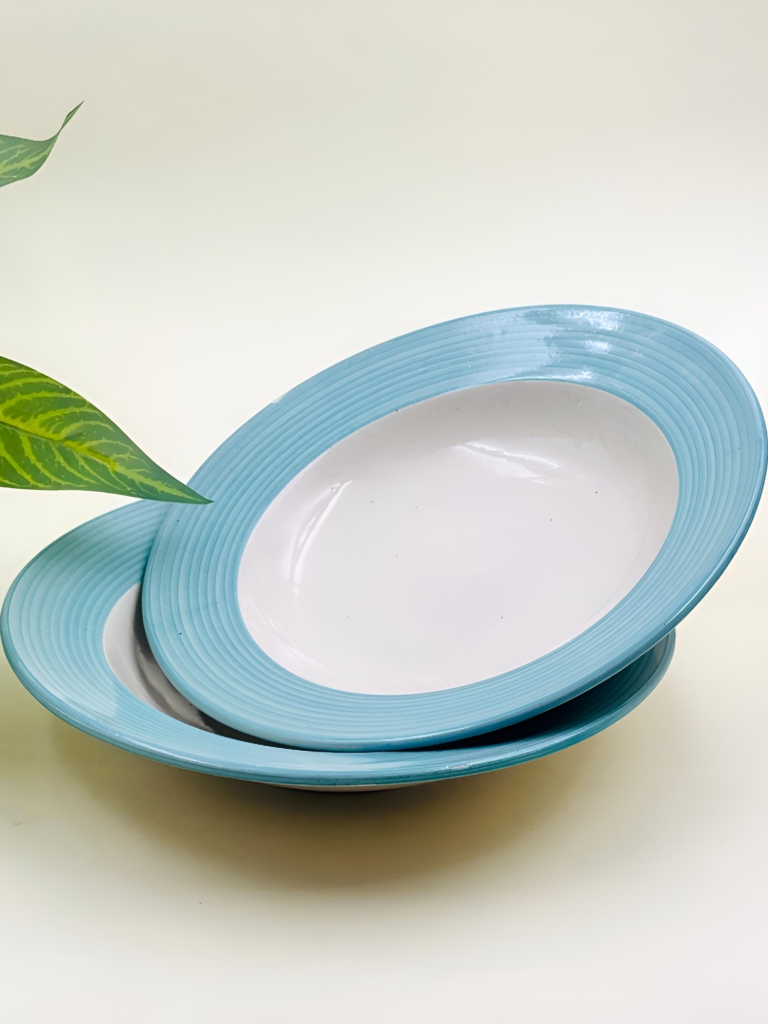 

Lupaava Blue & White 2 Pieces Ceramic Dishwasher Safe Plates