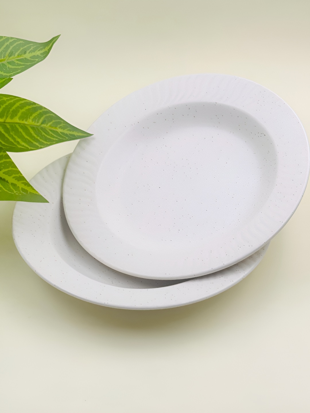 Lupaava White 2 Pieces Ceramic Dishwasher Safe Plates