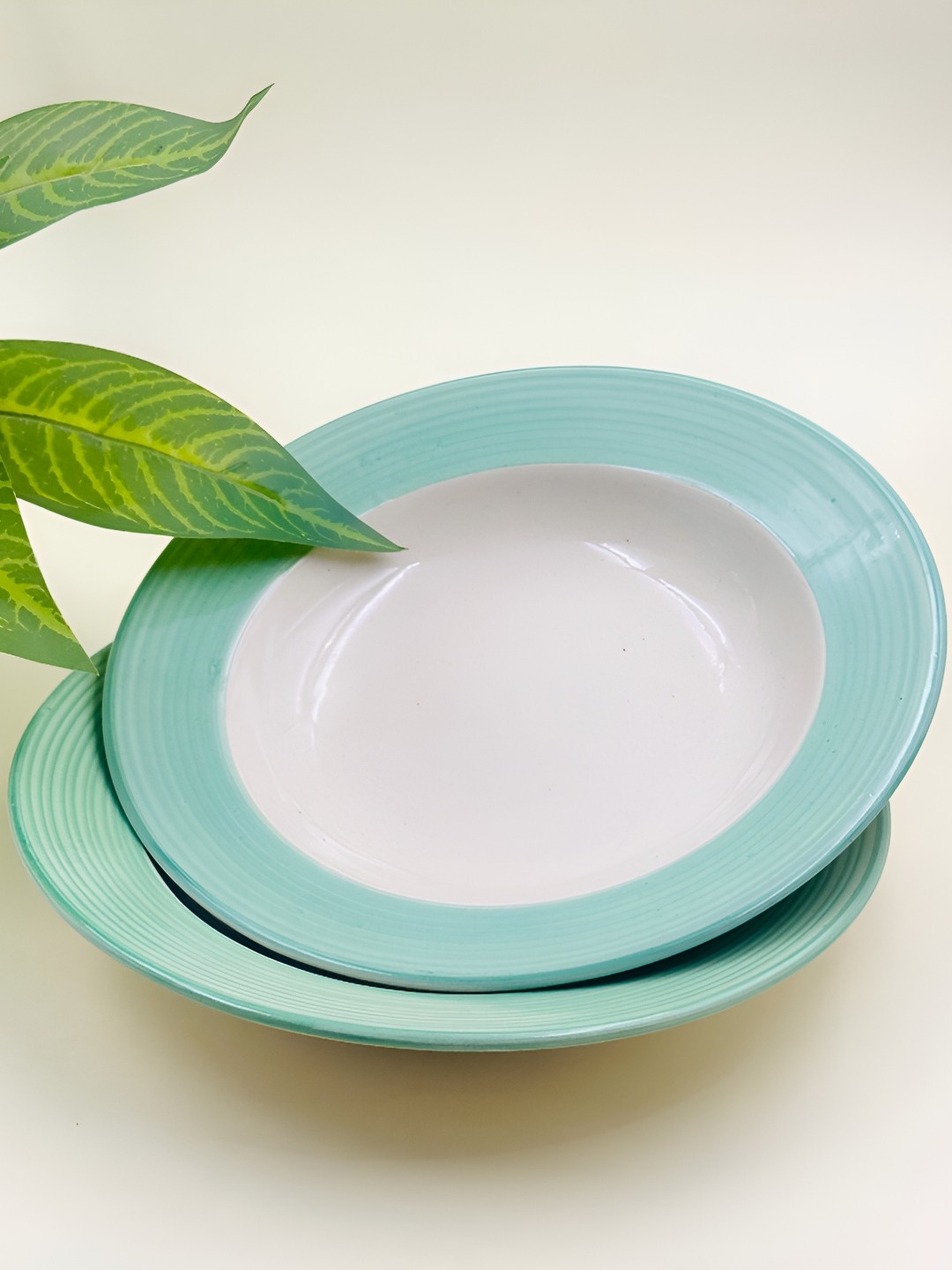 

Lupaava Green & White 2 Pieces Ceramic Dishwasher Safe Plates