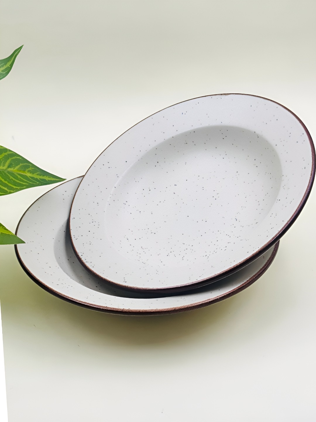 

Lupaava White & Brown 2 Pieces Ceramic Dishwasher Safe Plates