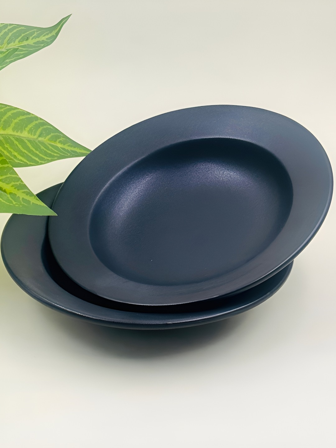 

Lupaava Black 2 Pieces Ceramic Dishwasher Safe Plates