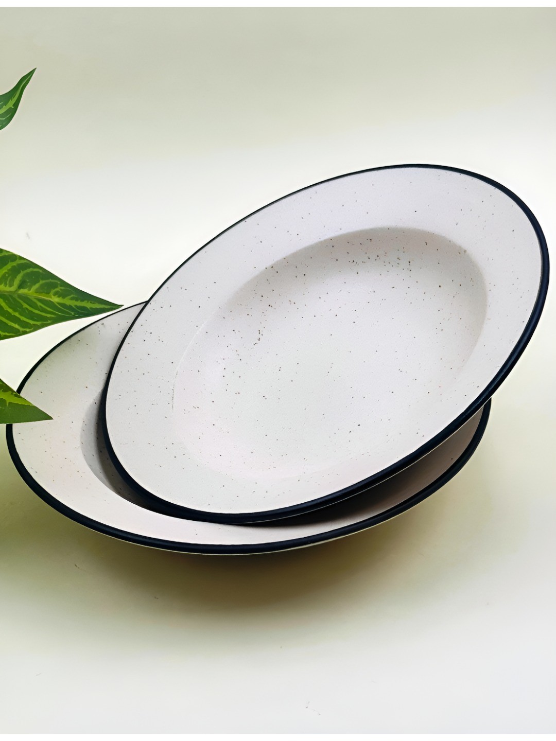 

Lupaava White & Black 2 Pieces Ceramic Dishwasher Safe Plates