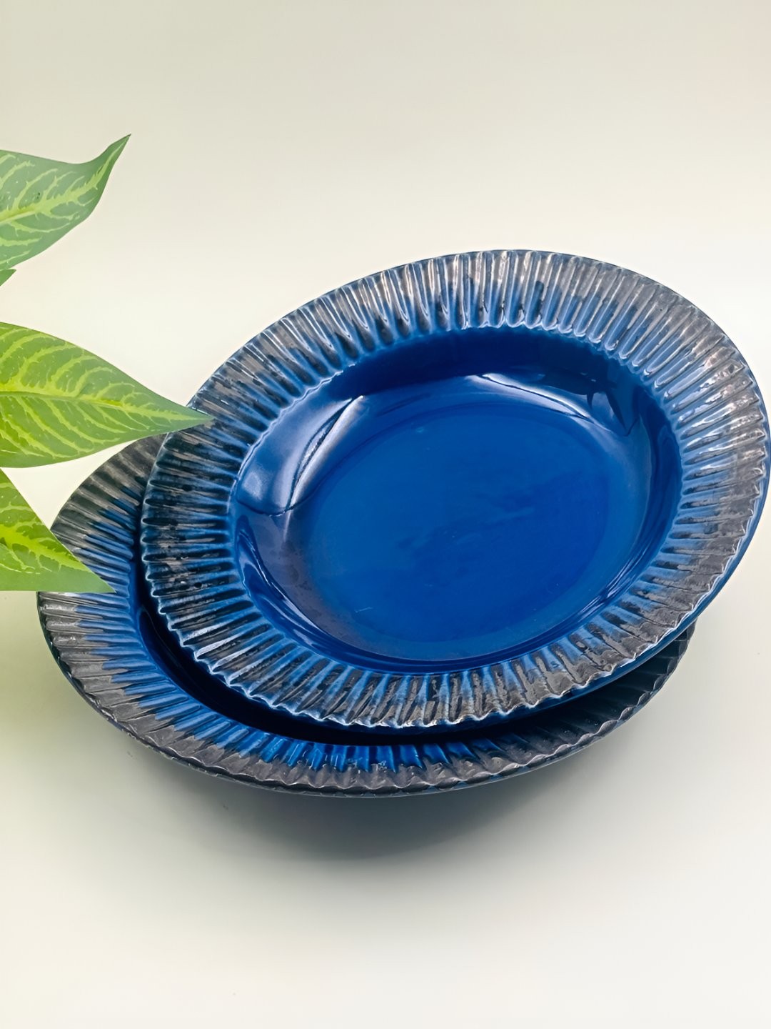 

Lupaava Blue 2 Pieces Ceramic Dishwasher Safe Plates