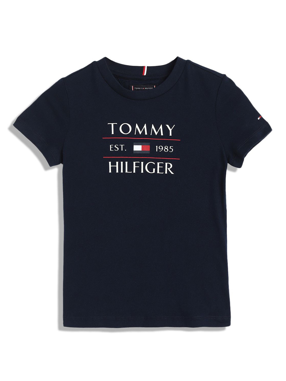 

Tommy Hilfiger Boys Typography Printed Round Neck Cotton T-shirt, Navy blue