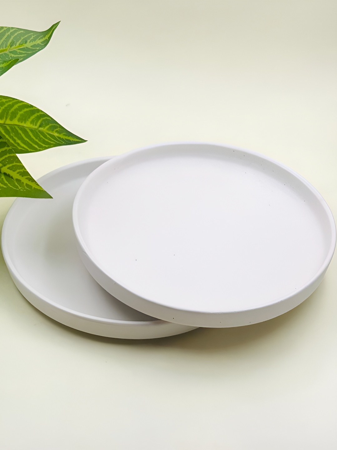 

Lupaava White 2 Pieces Ceramic Dishwasher Safe Dinner Plates