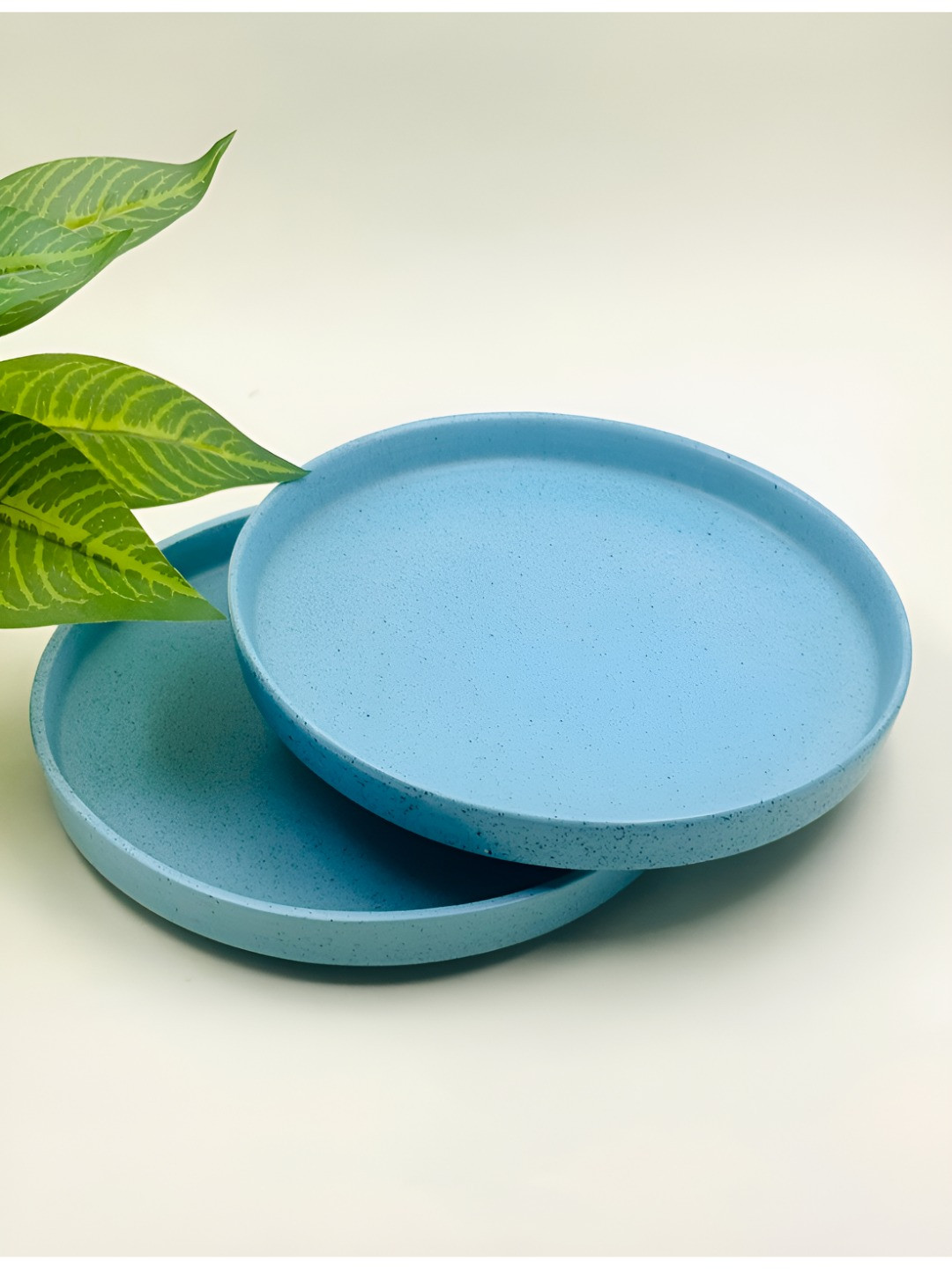 

Lupaava Blue 2 Pieces Ceramic Dishwasher Safe Plates