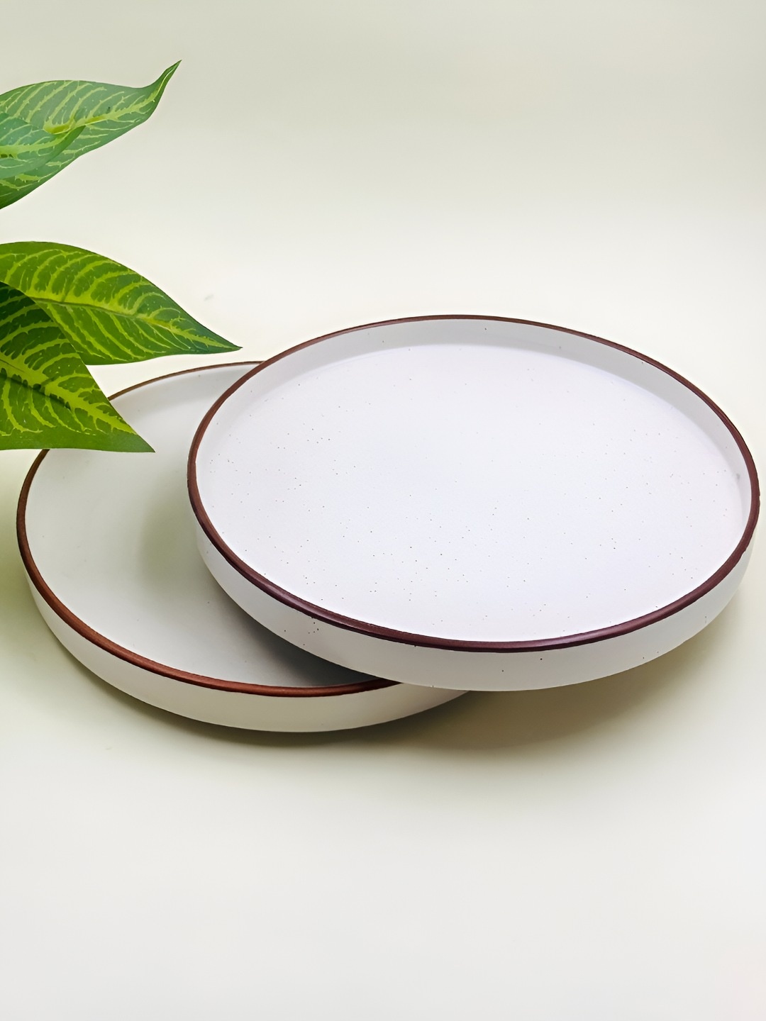 

Lupaava White & Brown 2 Pieces Ceramic Dishwasher Safe Dinner Plates