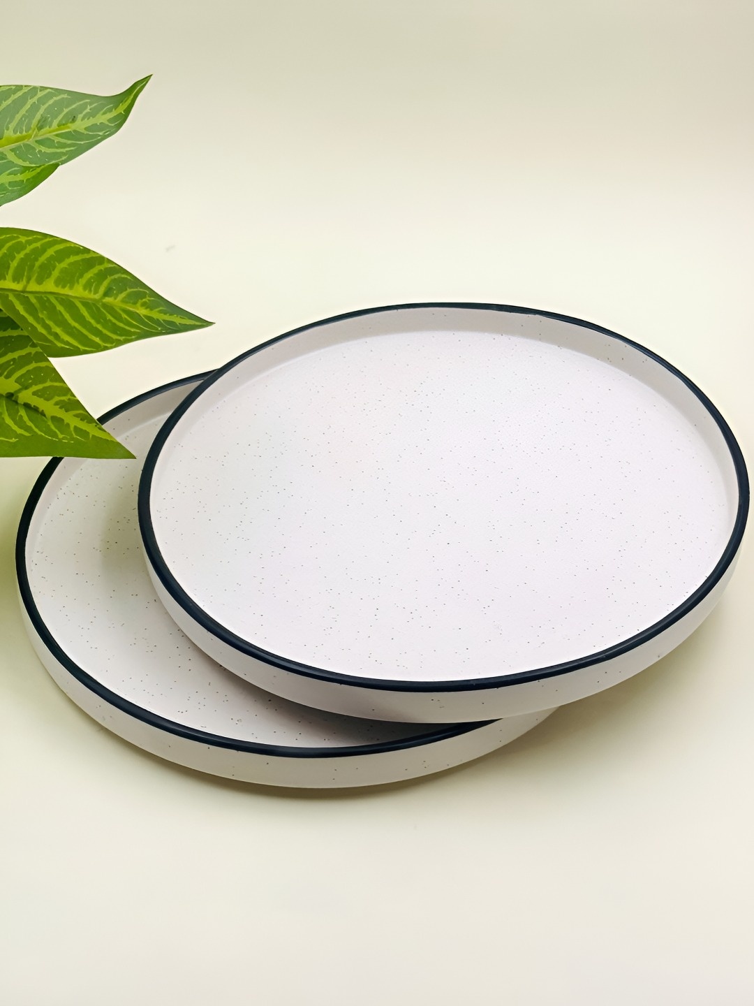 

Lupaava White & Black 2 Pieces Ceramic Dishwasher Safe Dinner Plates