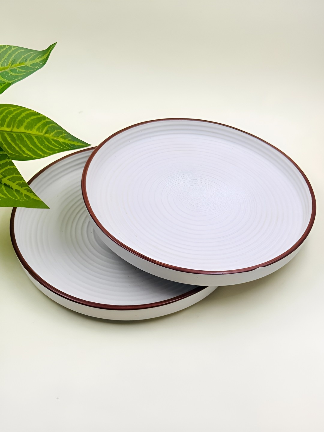 

Lupaava White & Brown 2 Pieces Ceramic Dishwasher Safe Plates