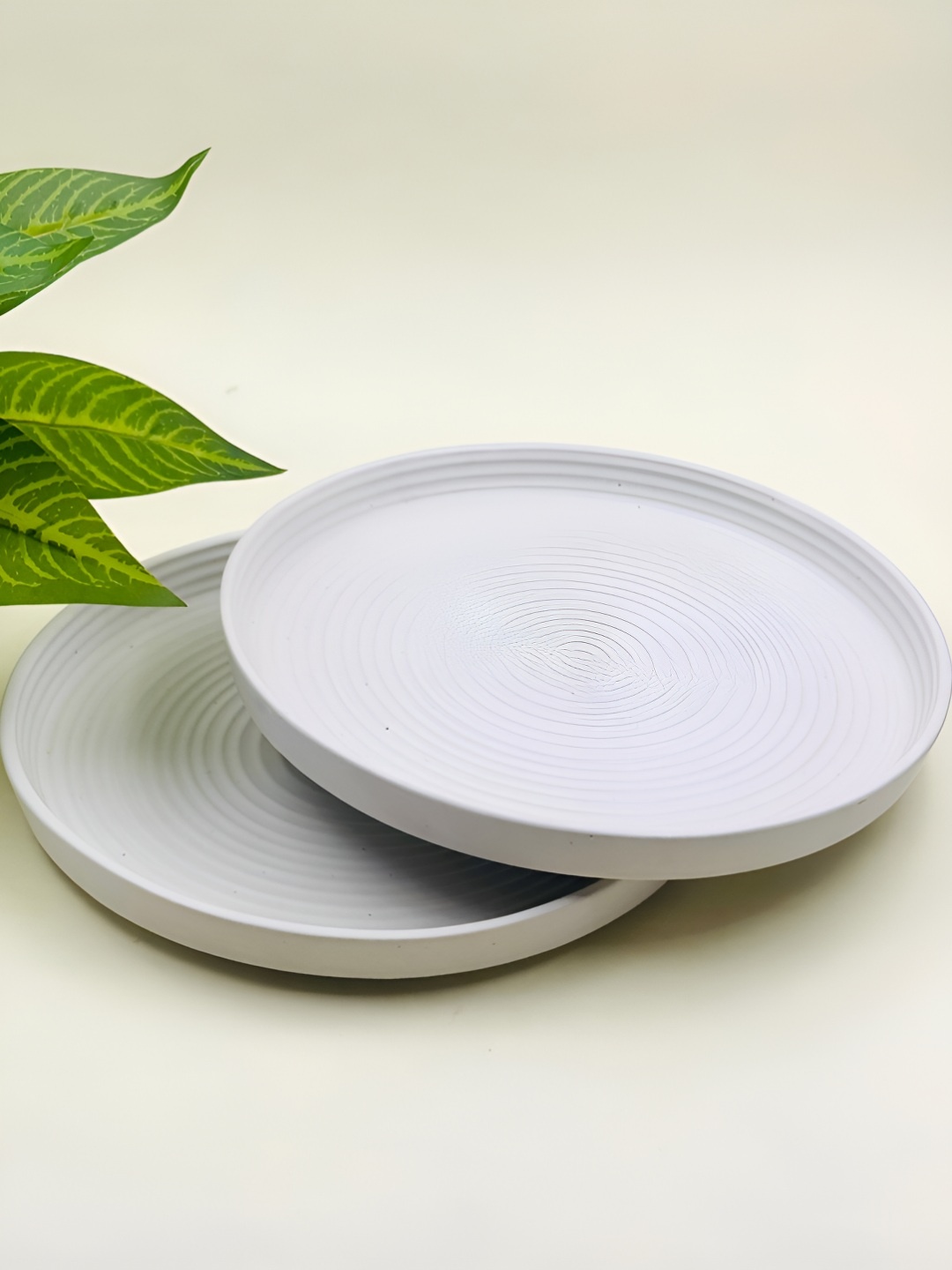 

Lupaava White 2 Pieces Textured Ceramic Dishwasher Safe Dinner Plates