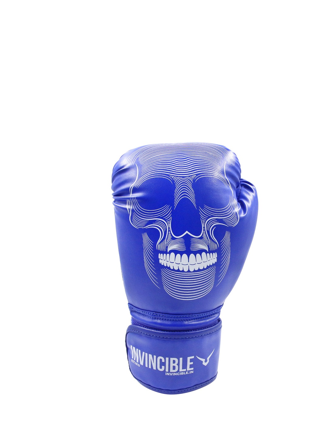 

Invincible Tejas Fitness Training Leather Gloves, Blue