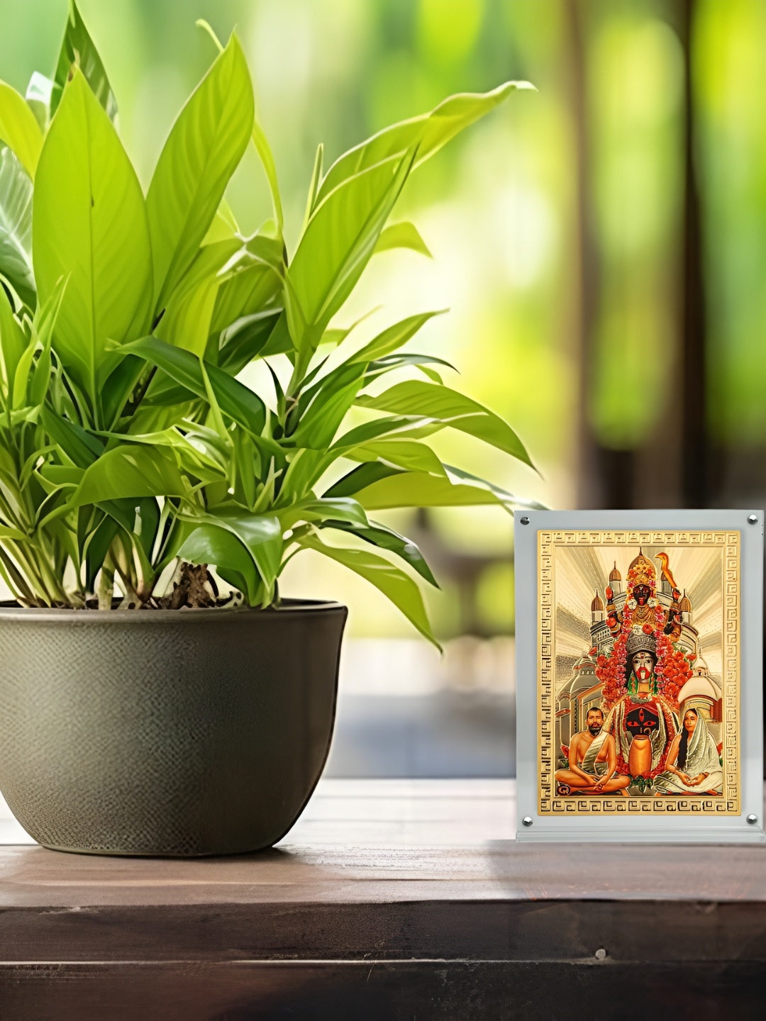 

Hawai Gold-Toned & Red Maa Tara Photo Acrylic Magneti Photo Frame
