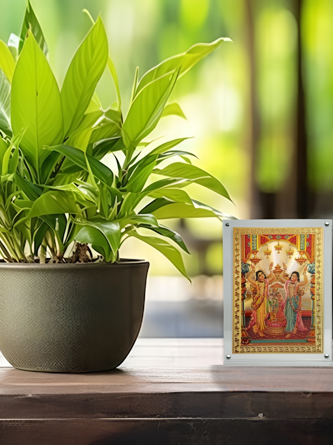 

Hawai Gold-Toned 1 Pieces Acrylic Fashion Photo Frames