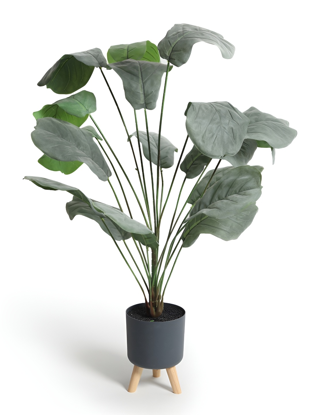 

HABERE INDIA Green & Black Money Plant Artificial Plant With Pot