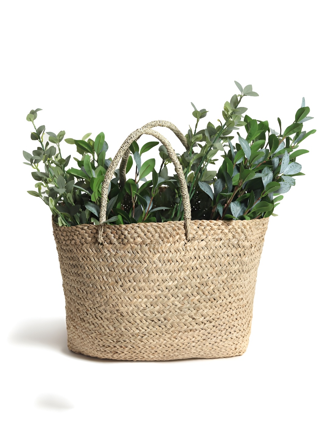 

HABERE INDIA Green Non-Hanging Artificial Plant