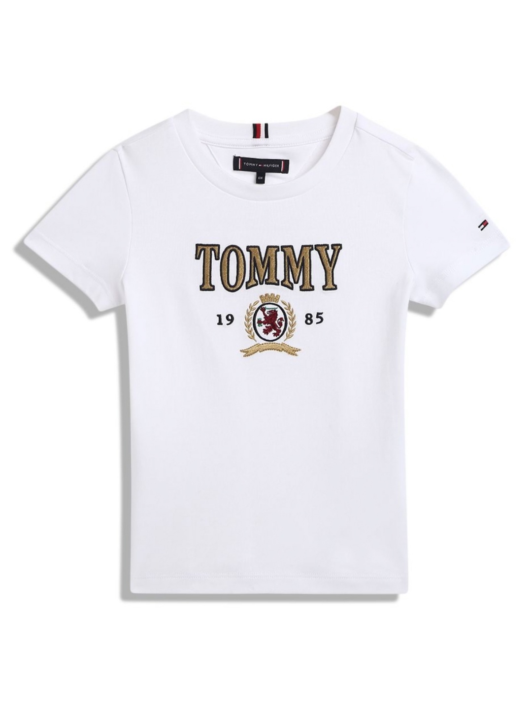

Tommy Hilfiger Boys Typography Printed Round Neck Cotton T-shirt, White