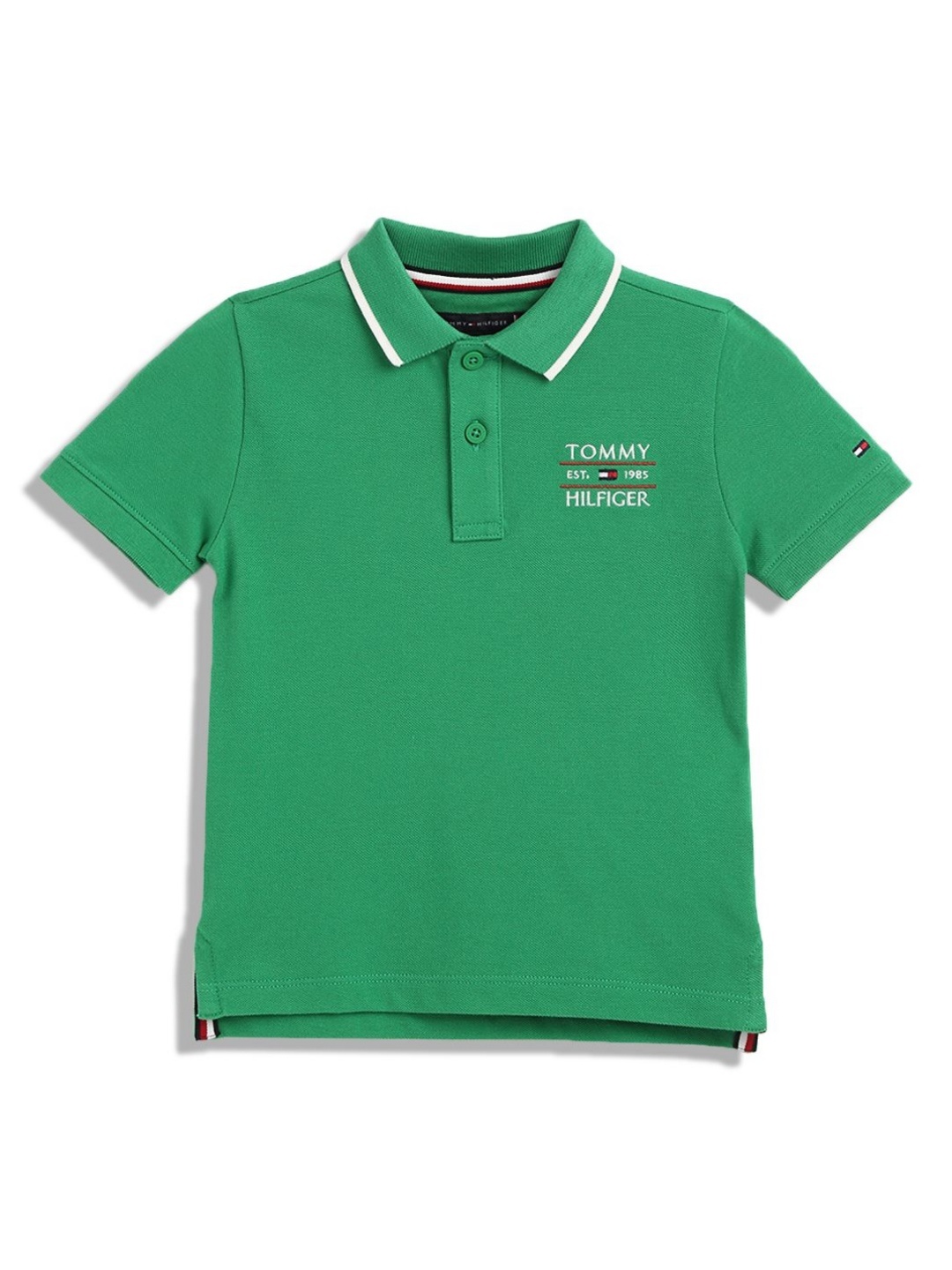 

Tommy Hilfiger Boys Solid Polo Collar Cotton T-shirt, Green