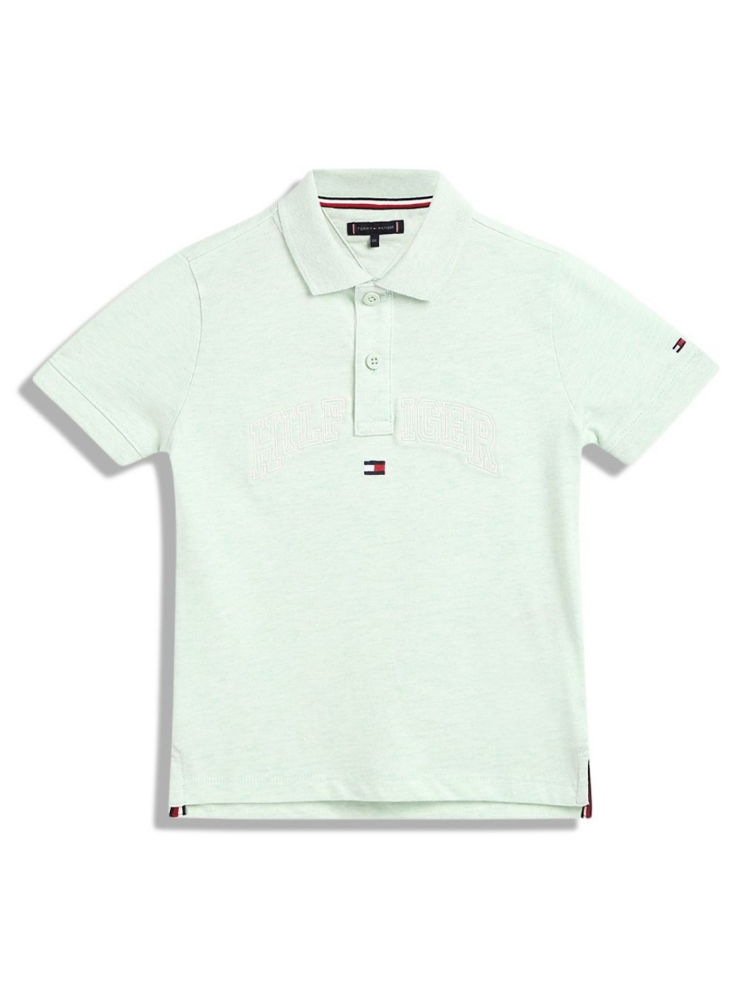 

Tommy Hilfiger Boys Solid Polo Collar Cotton T-shirt, Green