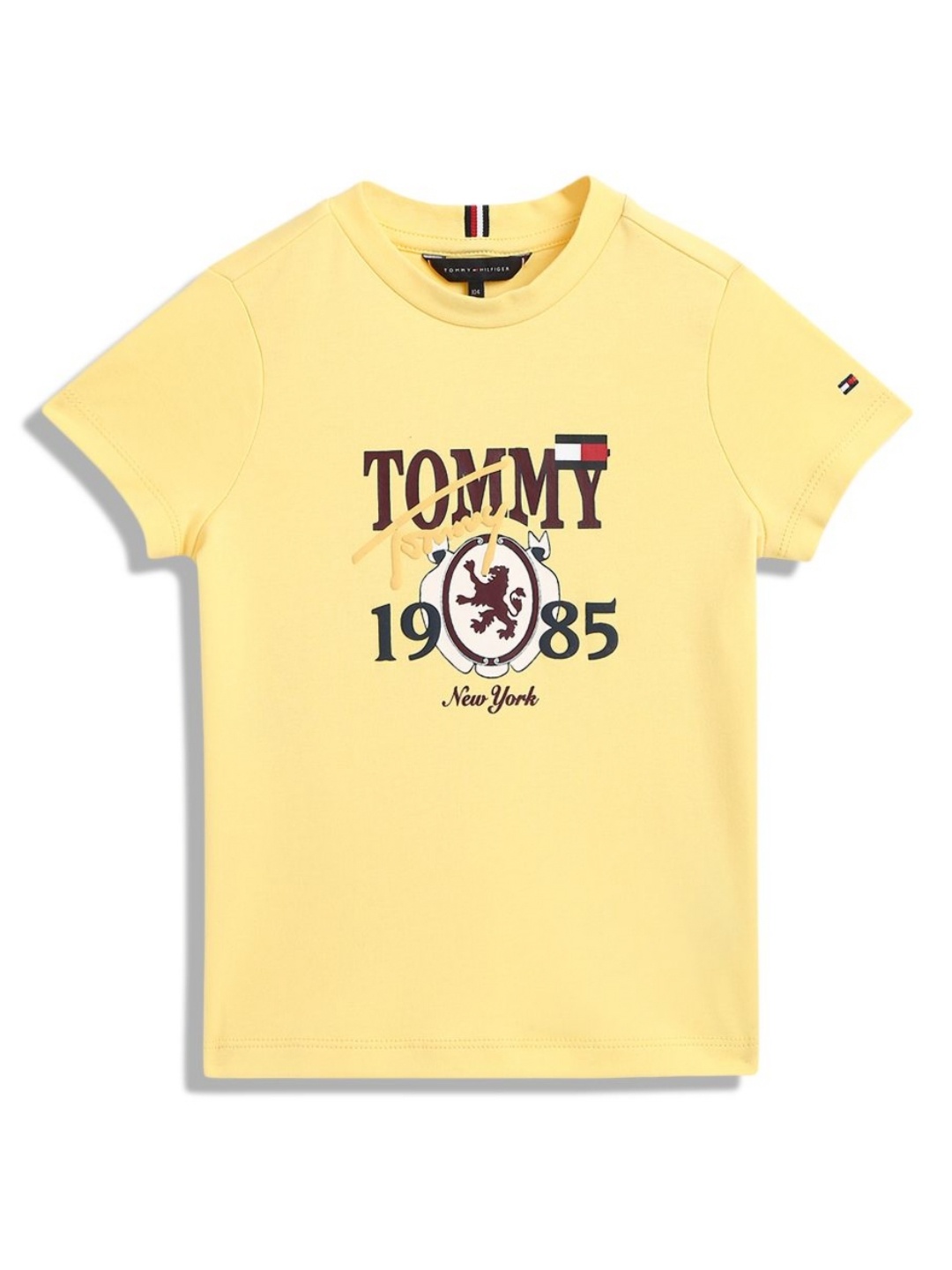 

Tommy Hilfiger Boys LB AI Typography Printed Round Neck Cotton T-shirt, Yellow