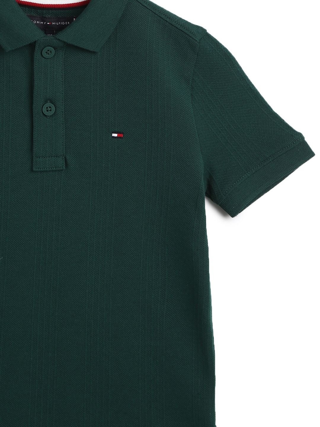 

Tommy Hilfiger Boys Solid Polo Collar Cotton T-shirt, Green