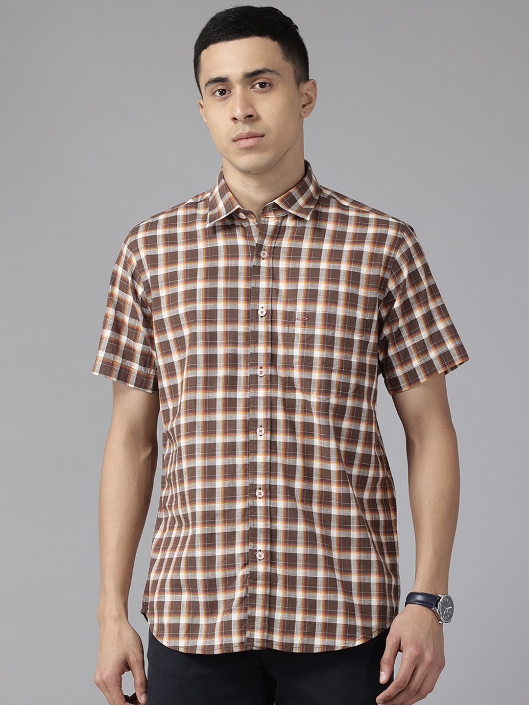 

ColorPlus Checked Pure Cotton Casual Shirt, Brown