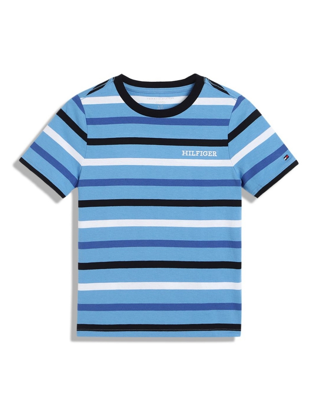 

Tommy Hilfiger Boys Striped Round Neck Cotton T-shirt, Blue