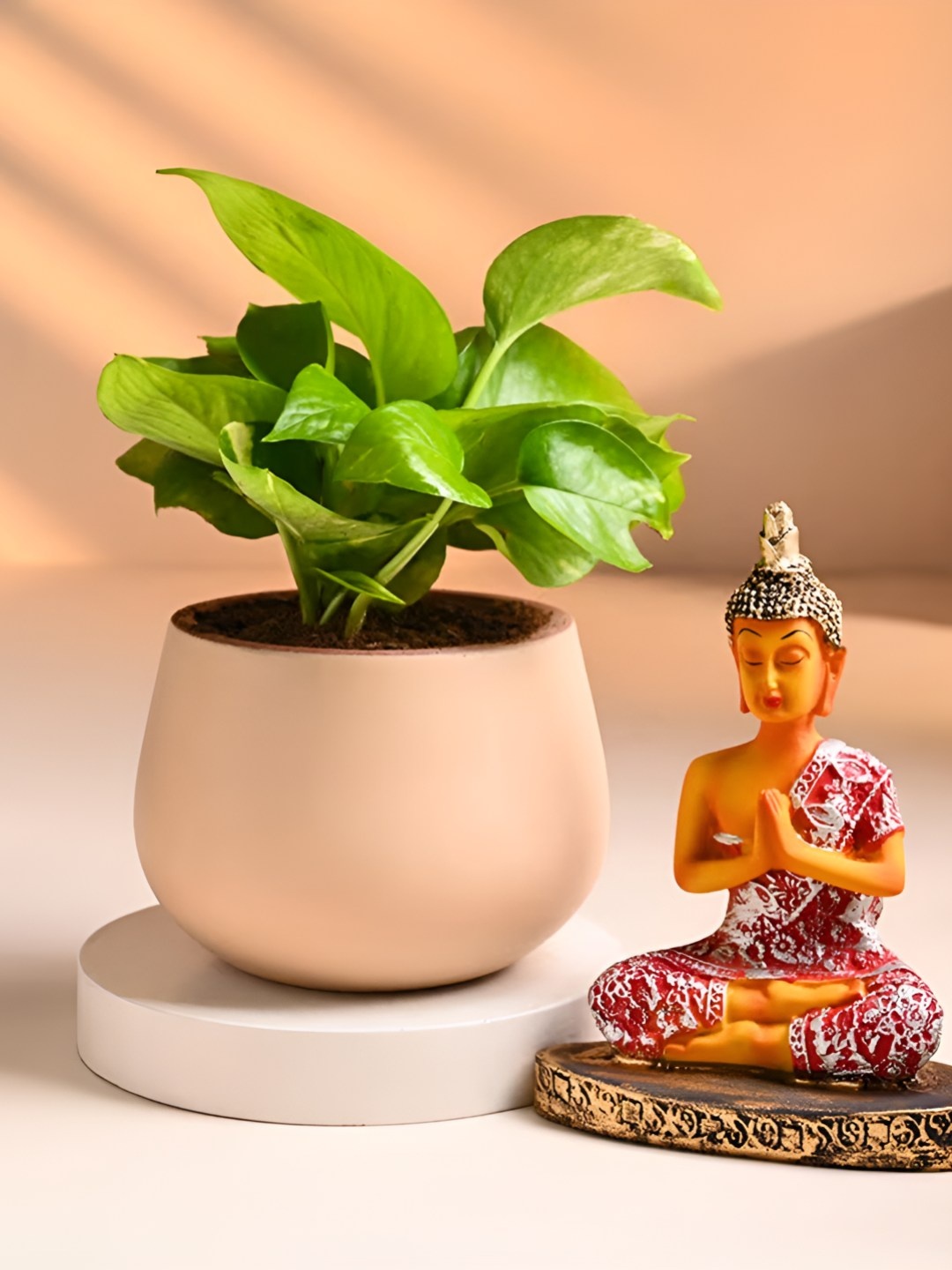 

Floweraura Green 2 Pieces Serene Buddha & Money Plant Combo Home Gift Set