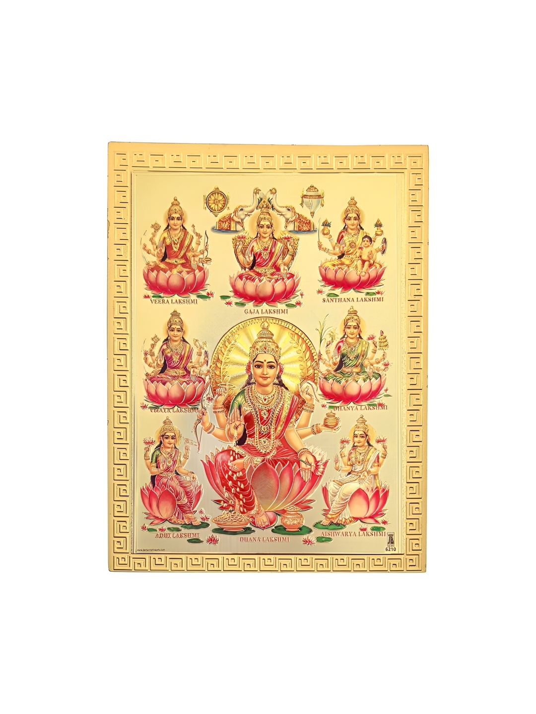 

Hawai Gold-Toned 1 Piece Paper Wall Fashion