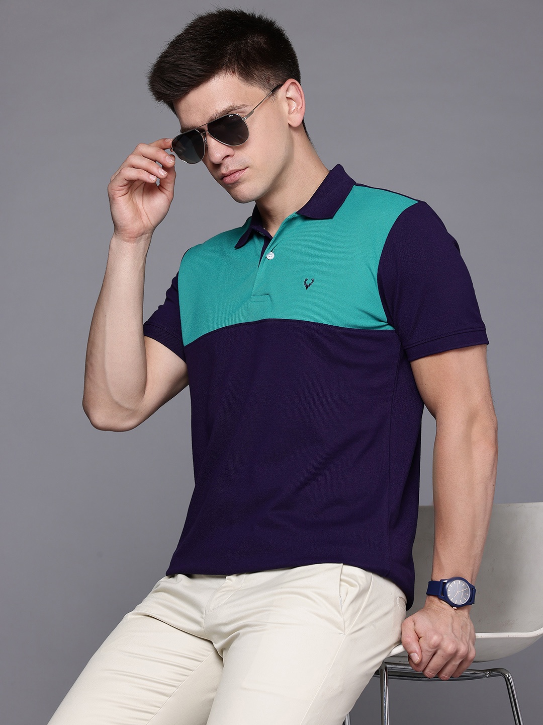 

Allen Solly Colorblocked Polo Collar T-shirt, Navy blue