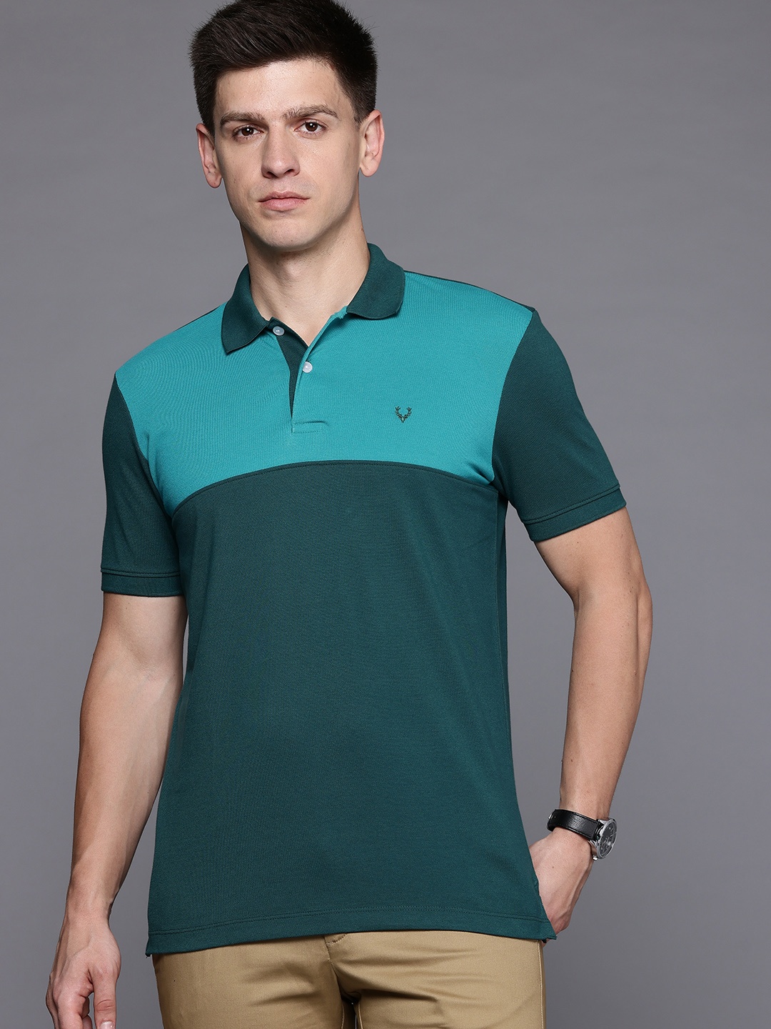 

Allen Solly Men Colourblocked Polo Collar T-shirt, Green