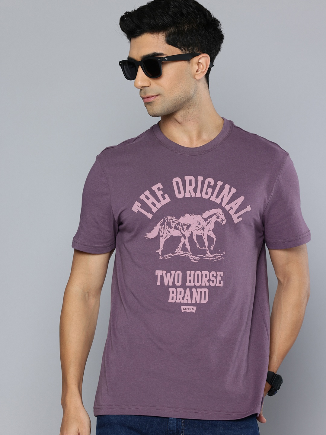 

Levis Slim Fit Graphic Printed Pure Cotton T-shirt, Purple