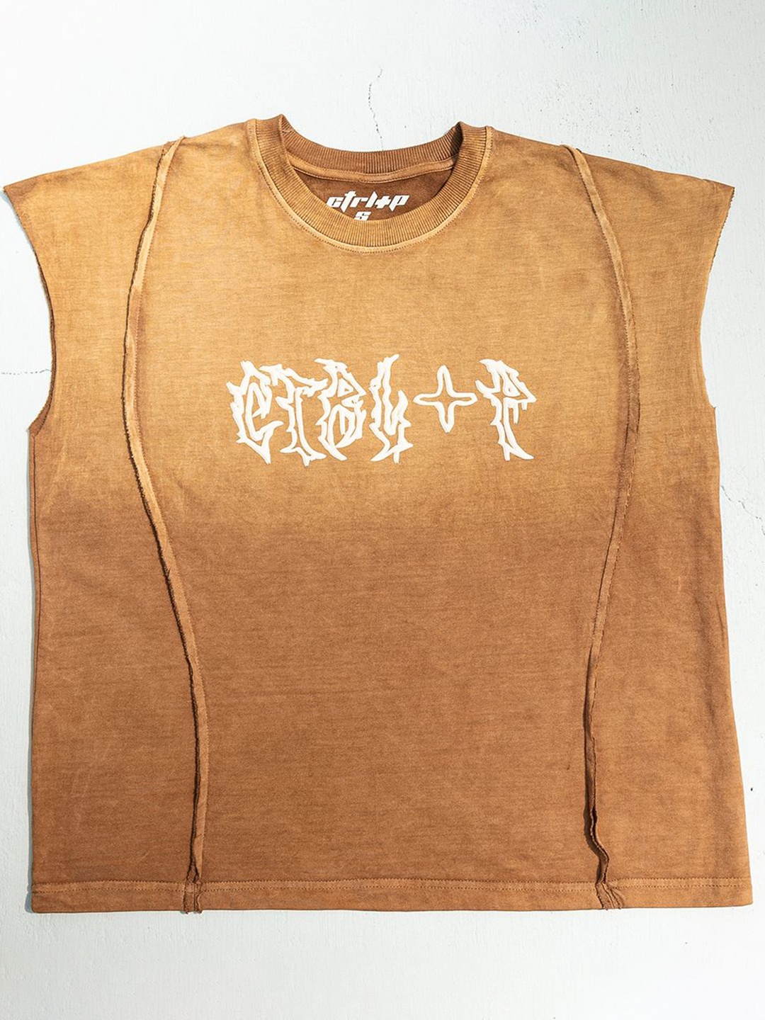 CTRL+P Unisex Typography Printed Round Neck Cotton Relaxed Fit T-shirt, Brown