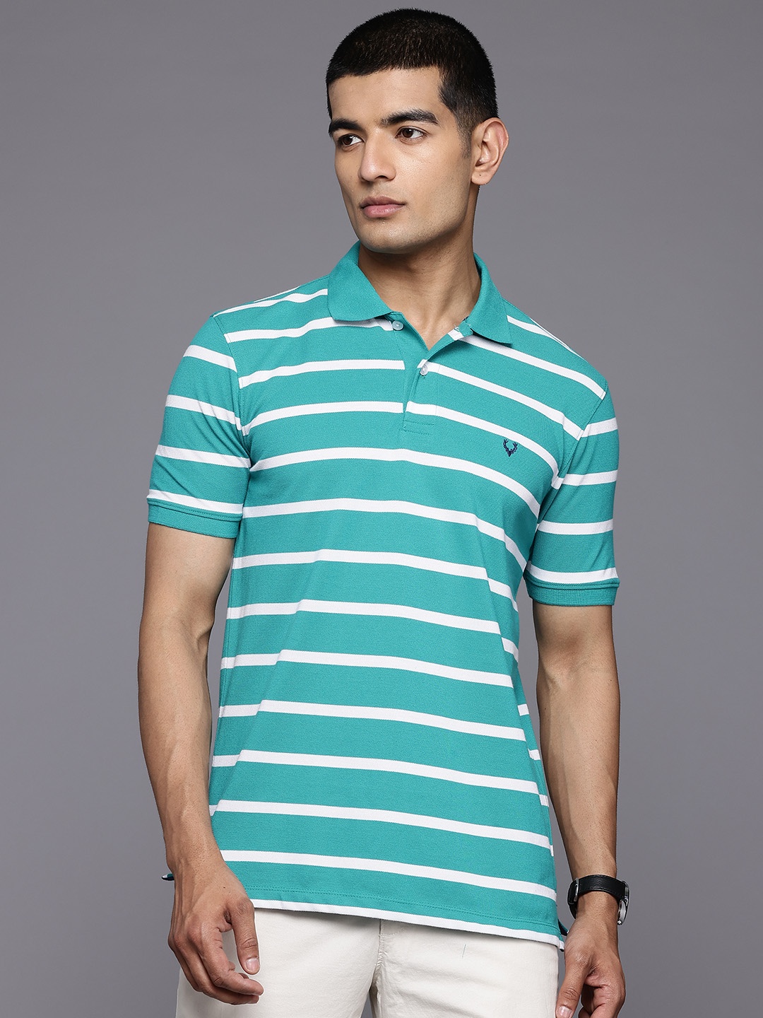 

Allen Solly Men Striped Polo Collar T-shirt, Green