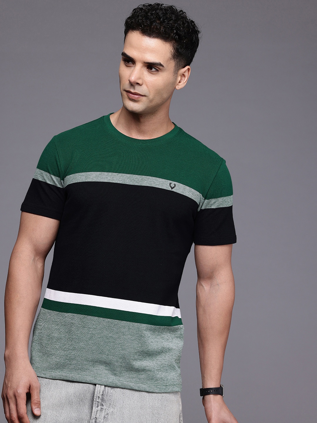 

Allen Solly Striped Pure Cotton Slim Fit T-shirt, Green